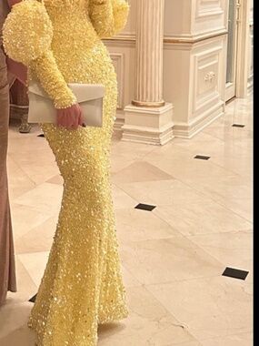 Beaded Albina Dyla Dress